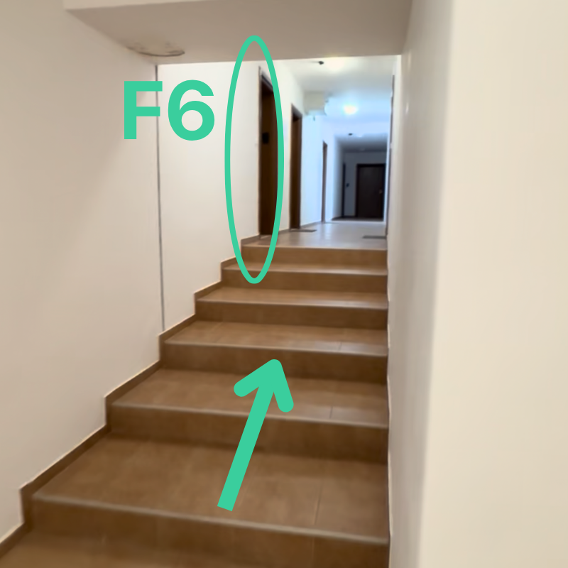 How to check in F6 Artistic Mountain Studio 33